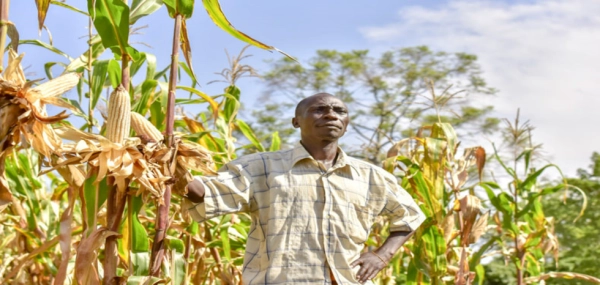 Agriculture and Food Security